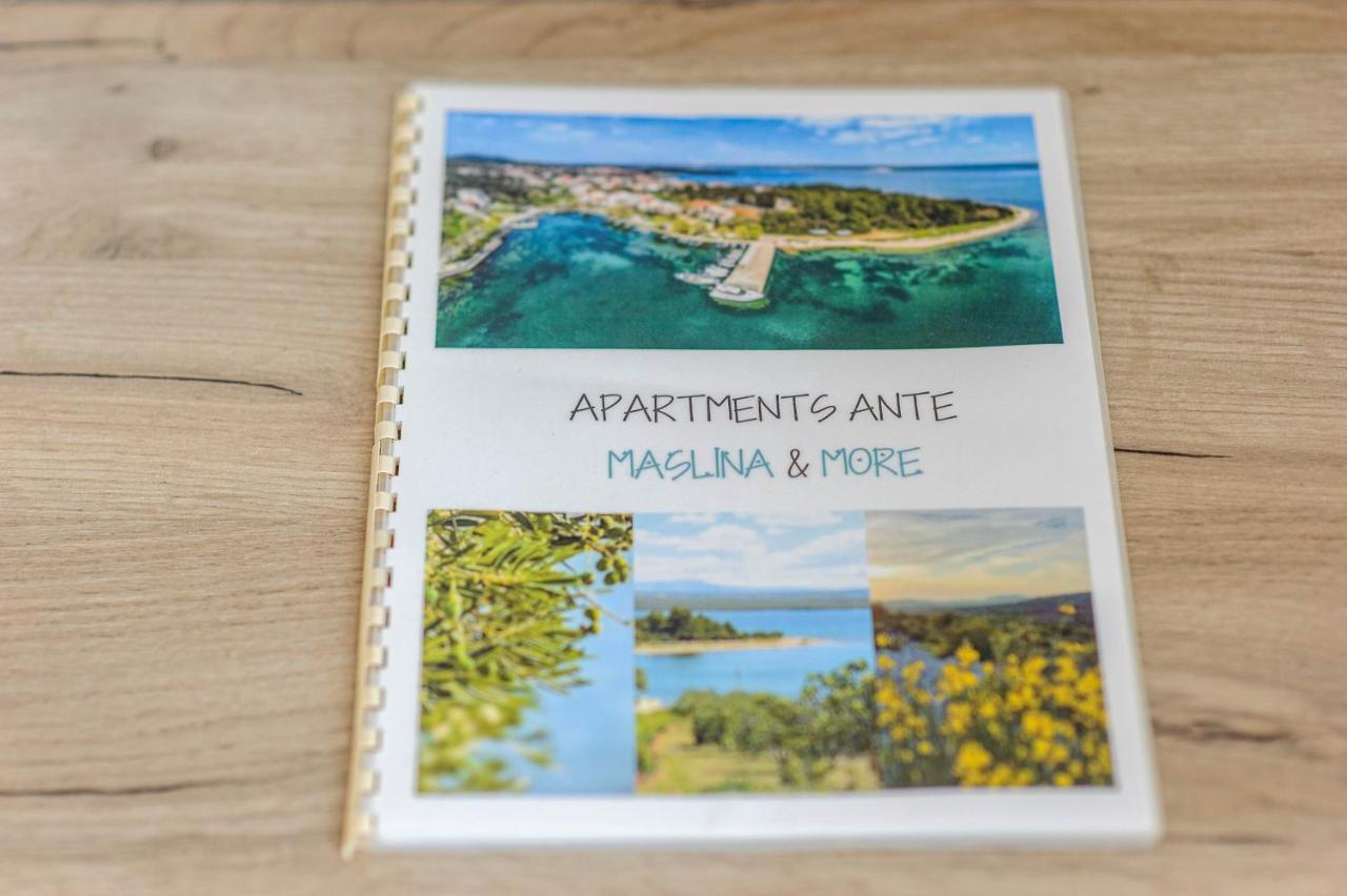 Apartman Maslina Šibenik Exteriér fotografie