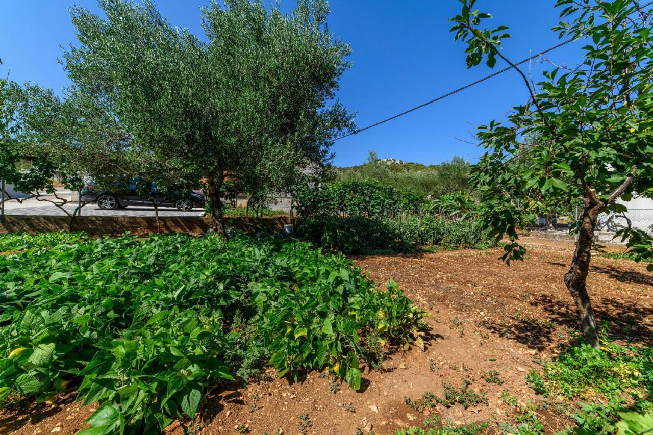 Apartman Maslina Šibenik Exteriér fotografie